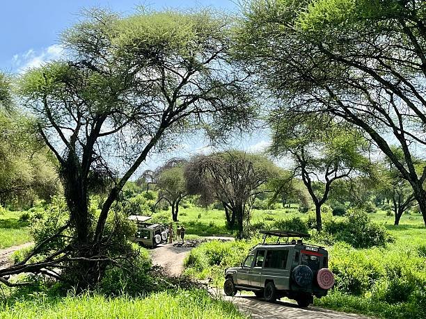 5-days-tanzania-budget-camping-safari